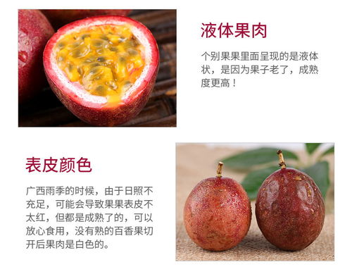 廣西百香果 現(xiàn)摘大果新鮮上市，優(yōu)質(zhì)批發(fā)直供市場