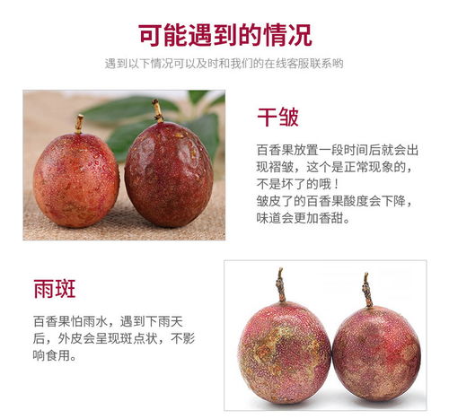 廣西百香果大果3斤現(xiàn)摘新鮮水果批發(fā)指南 把握黃金品質(zhì)，搶占市場先機(jī)