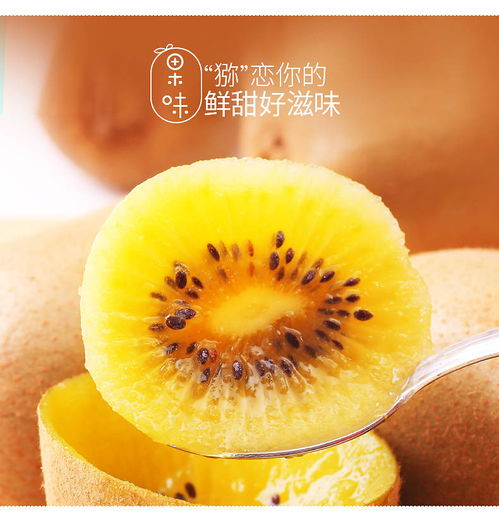 四川黃心獼猴桃 新鮮現(xiàn)摘，季節(jié)性批發(fā)優(yōu)選