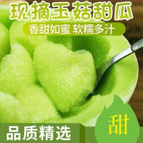 清甜爽脆，夏日瓜香——玉菇甜瓜、哈密瓜、羊角蜜當(dāng)季批發(fā)指南