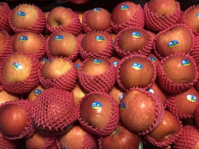 11月17日青島商超及批發(fā)市場果蔬價(jià)格行情分析