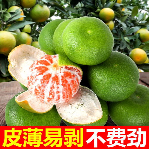 新鮮蜜橘批發(fā)指南 薄皮多汁，多倉直發(fā)